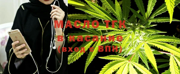 mix Богородицк