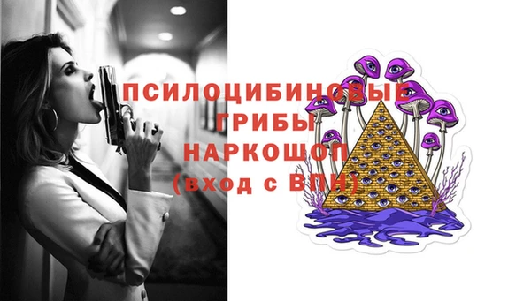 mix Богородицк