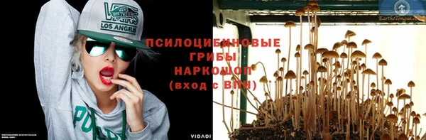 mix Богородицк